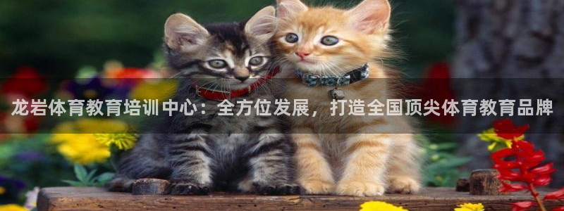 尊龙官方正版app集团：龙岩体育教育培训中心：全方位