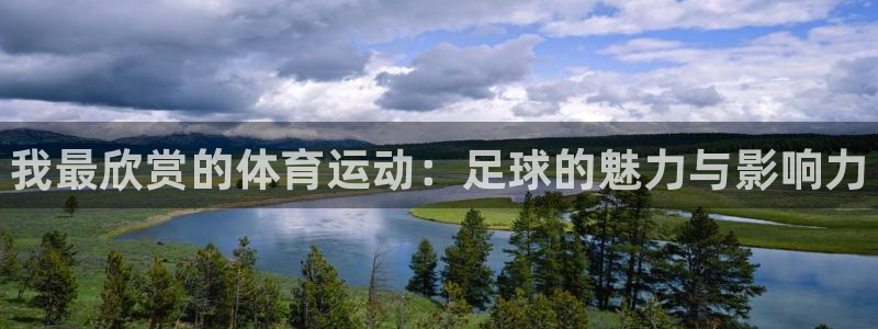 尊龙官网下载招商电话：我最欣赏的体育运动：足球的魅力