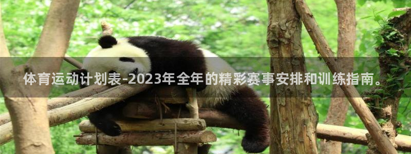 尊龙官方正版app官方：体育运动计划表-2023年全