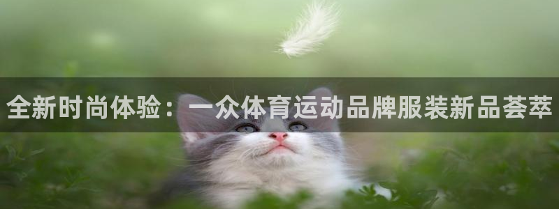 尊龙官方正版app集团官网首页：全新时尚体验：一众体
