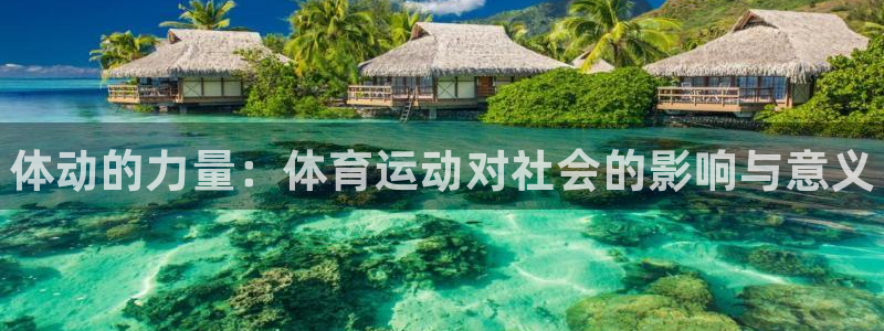 尊龙官网下载平台APP：体动的力量：体育运动对社会的影响与意
