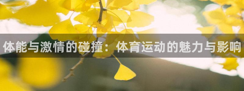 德国尊龙官方正版app集团：体能与激情的碰撞：体育运动的魅力