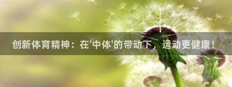 尊龙官方正版app集团logo：创新体育精神：在\'