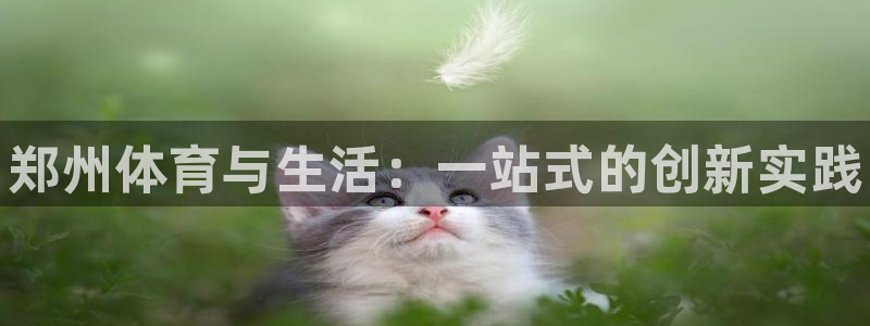尊龙官网下载招商电话是多少啊