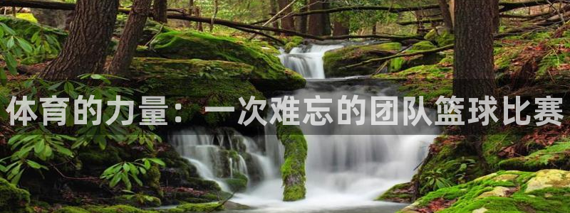 尊龙官方正版app娱乐平台：体育的力量：一次难忘的团