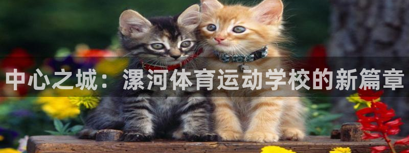 尊龙官网下载招商电话：中心之城：漯河体育运动学校的新