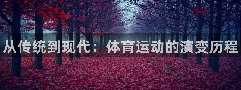 尊龙官方正版app娱乐首页网站大全：从传统到现代：体育运动的