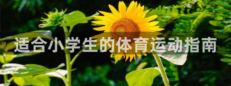 尊龙官方正版app新能源：适合小学生的体育运动指南