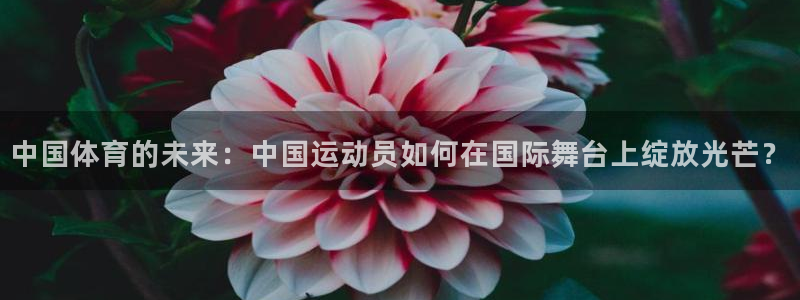 尊龙官网下载平台注册流程视频：中国体育的未来：中国运动员如何