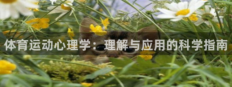 海南尊龙官网下载发展怎么样