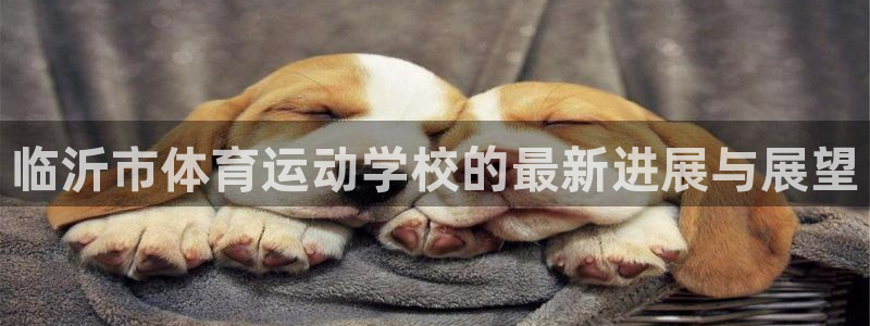 尊龙官网下载招商电话号码：临沂市体育运动学校的最新进展与展望
