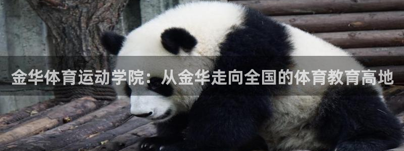 尊龙官网下载软件