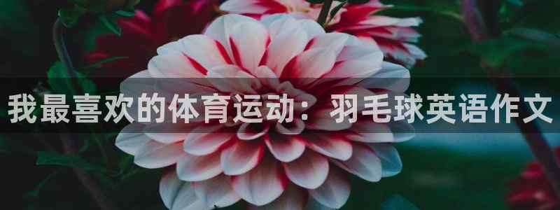 尊龙官网下载招商电话号码是多少：我最喜欢的体育运动：羽毛球英