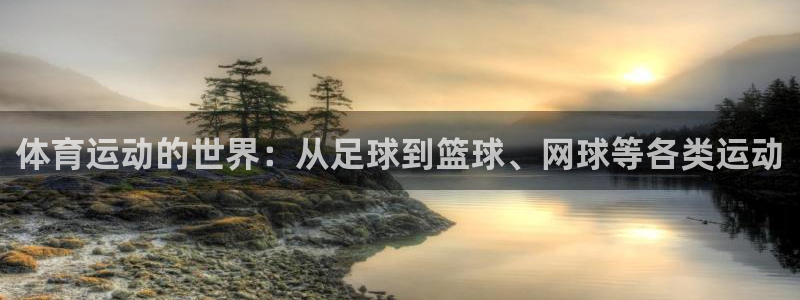 尊龙官方正版app集团logo：体育运动的世界：从足球到篮球