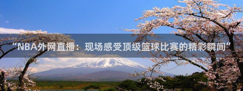 袋鼠直播体育直播
