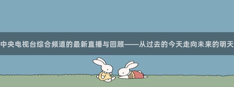 袋鼠直播体育：中央电视台综合频道的最新直播与回顾——从过去的今天走向未来的明天