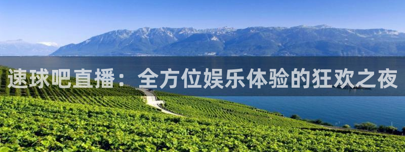 袋鼠体育在线直播免费：速球吧直播：全方位娱乐体验的狂欢之夜