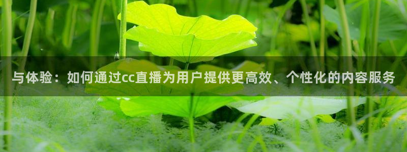 袋鼠直播体育app下载：与体验：如何通过cc直播为用户提供更高效、个性化的内容服务