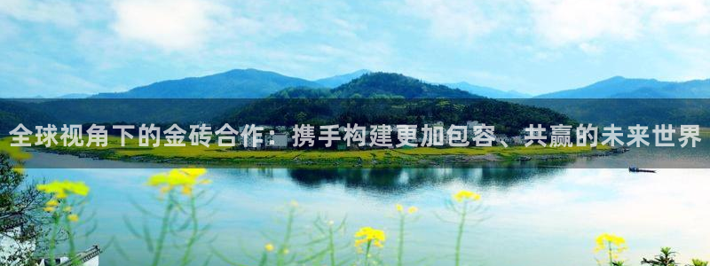 袋鼠直播看球：全球视角下的金砖合作：携手构建更加包容、共赢的未来世界